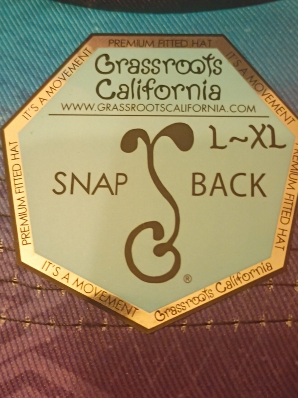 Grassroots California CampRoots Limited Edition Snapback Flat Brim Hat - Picture 2 of 11